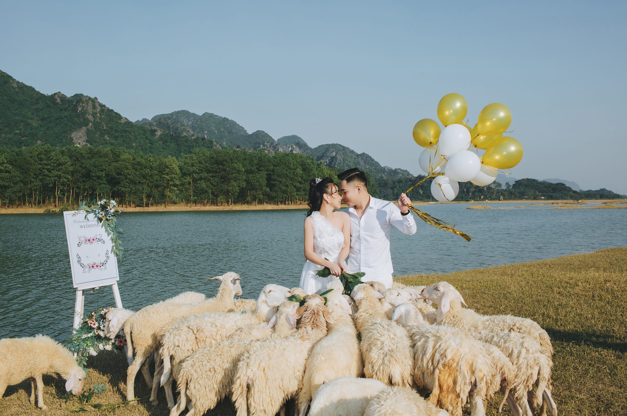 Đồng Cừu Ninh Bình, điểm chụp hình cưới và check in siêu đẹp và siêu lãng mạn